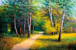 Коллекция Лес