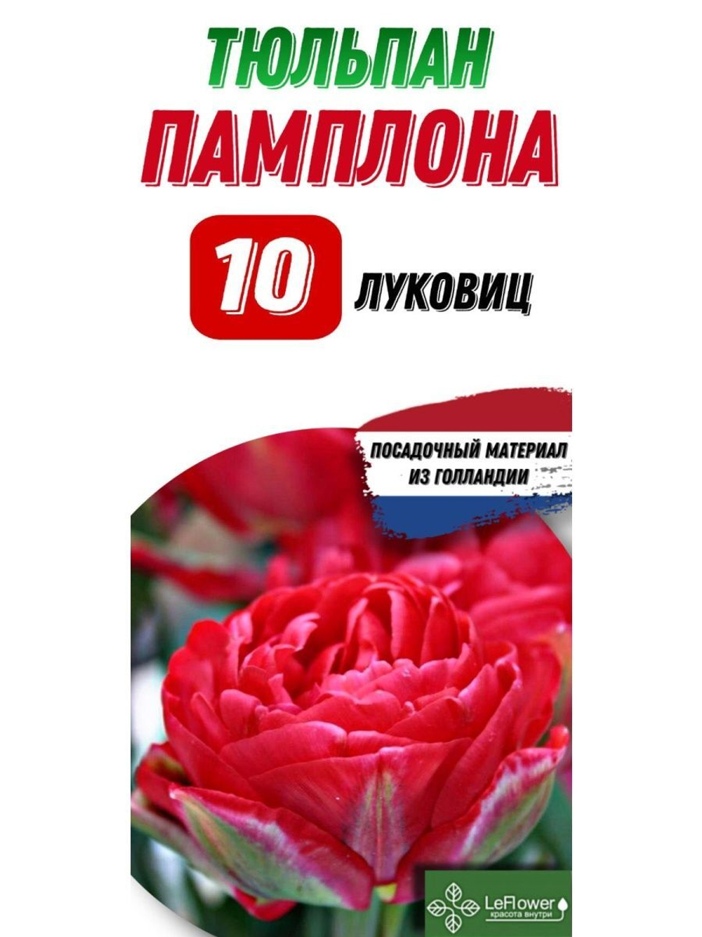 Тюльпан Луковица, Памплона, 10шт
