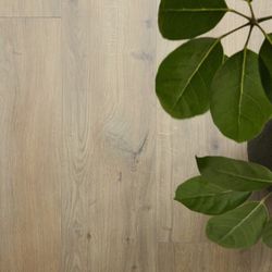 ЛАМИНАТ BERRY-ALLOC OCEAN+ XL 2511 ГИАНТ НАТУР ТЕПЛЫЙ