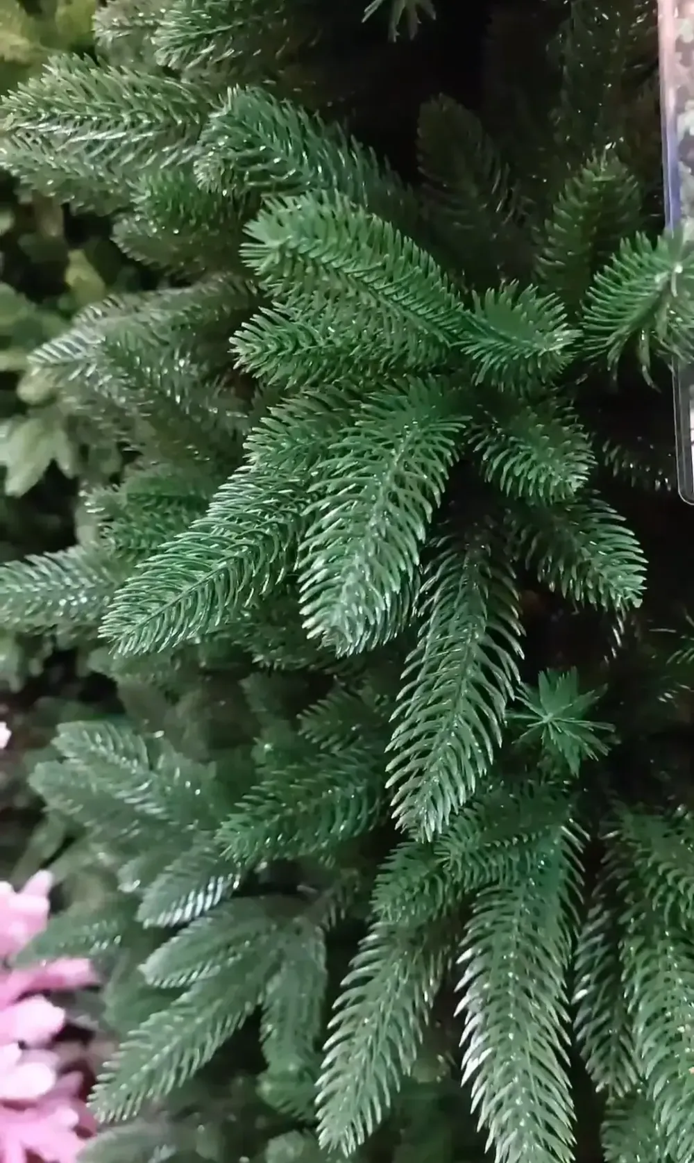 Ель искусственная «Эстер» (Литая хвоя) 270 см / 2,7 м