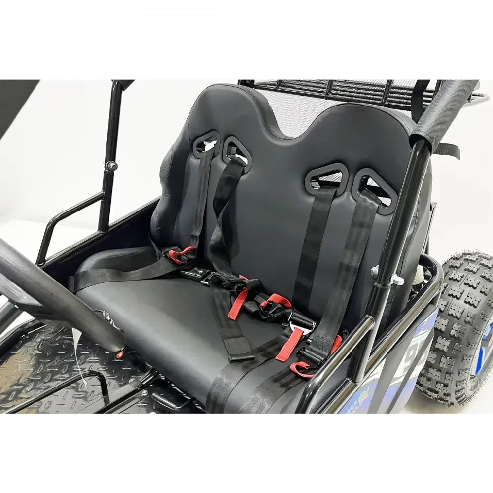 Багги Green Camel Намиб T10 (60V 2000W R8 Дифф)