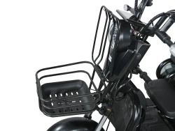 Электротрицикл White Siberia Sibtrike L 2000W городской