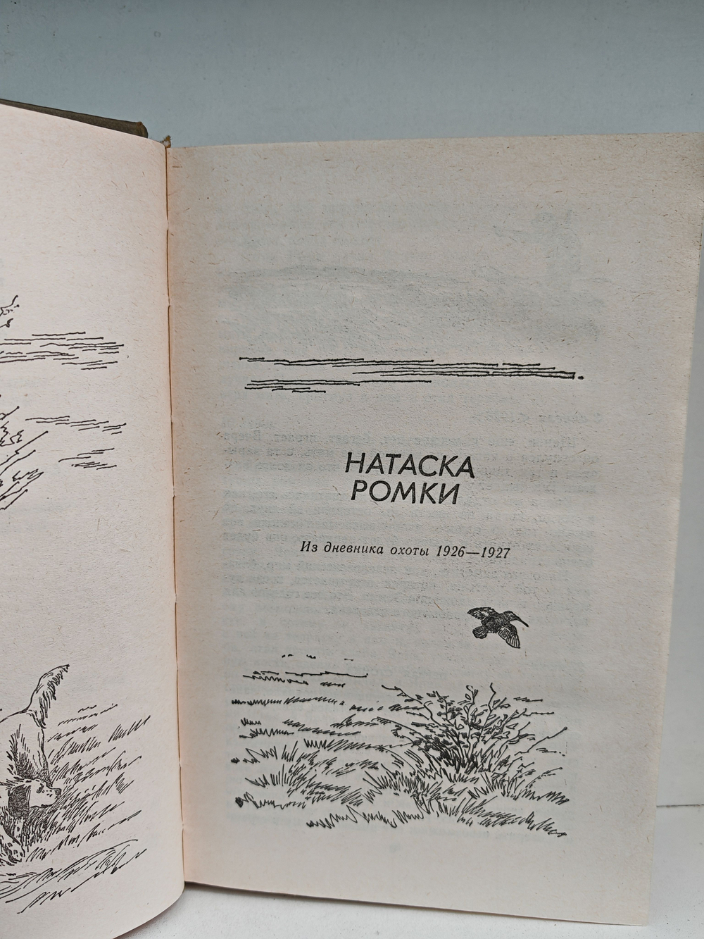 Зеркало человека