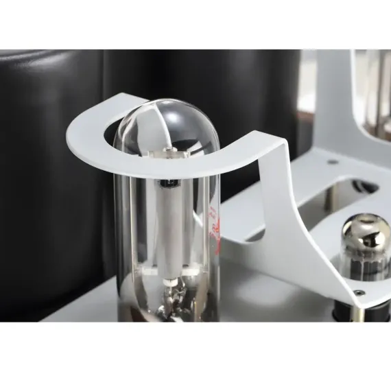 Mastersound 845 Monoblock Black Wood