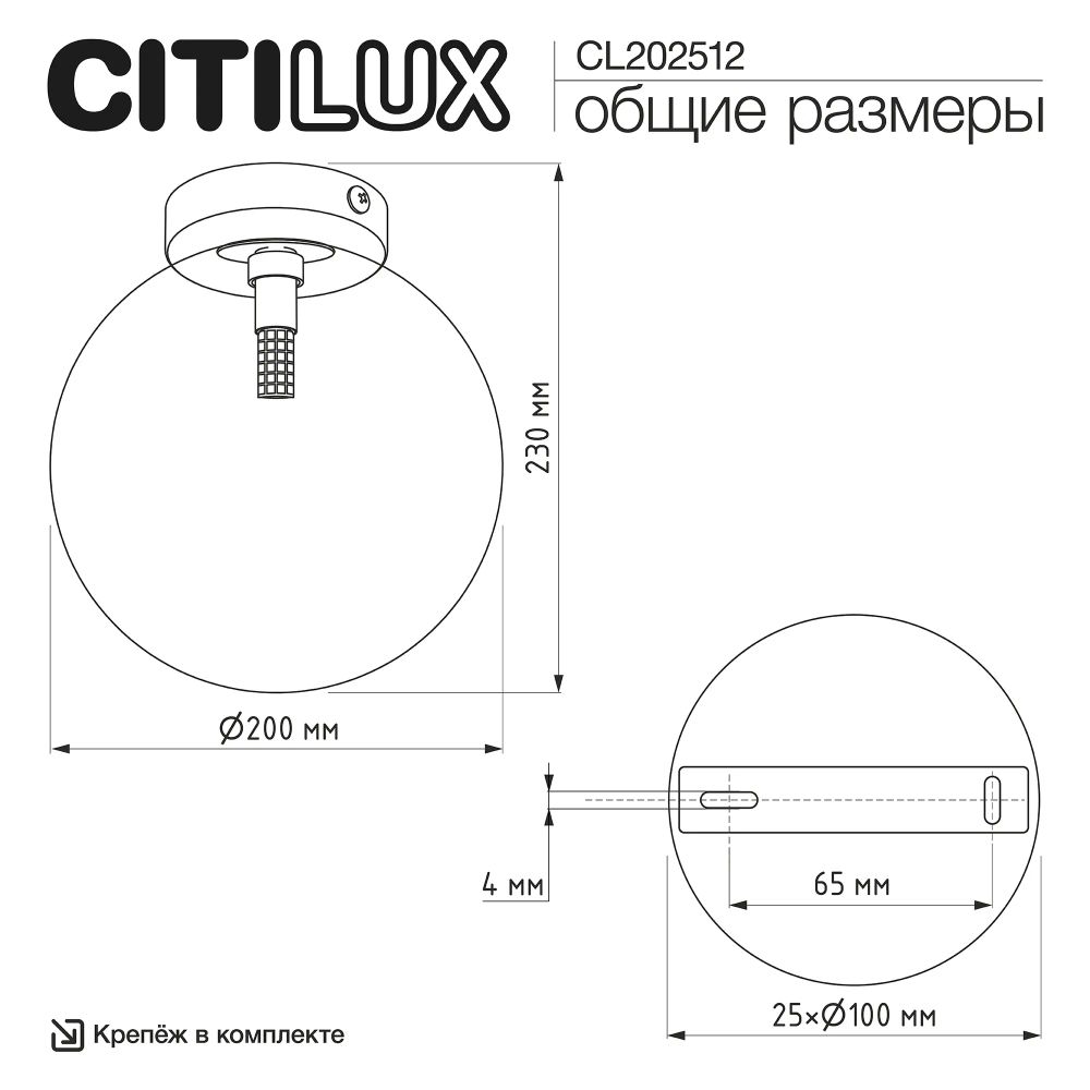 Citilux ORTON CL202512 Светильник Шампань