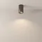 Потолочный светильник Зум / Zoom 1*GU10 10 Вт IP 54 Technical c029cl-01-s-b