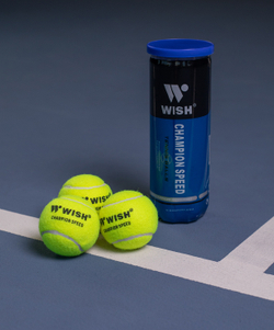 Мяч для большого тенниса WISH Champion Speed 610, 3 шт.