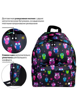 Рюкзак универсальный, (Совы), 20 литров, 41х32х14 см