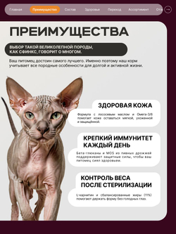 Корм сухой для взрослых стерилизованных кошек породы Сфинкс, полнорационный комплекс, с индейкой, 400 гр, QUATTRO