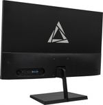 Монитор 23,8" Delta Computers ОМ238I.FHD.SS.01.P2
