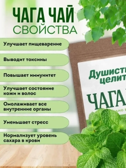 Травяной чага чай с мятой 100 грамм