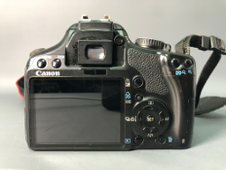 Canon 450D, 43500 кадров пробега.