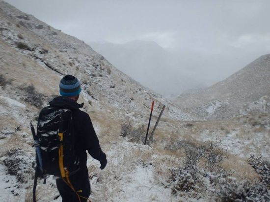 Носки водонепроницаемые DexShell Thermlite Green DS6260