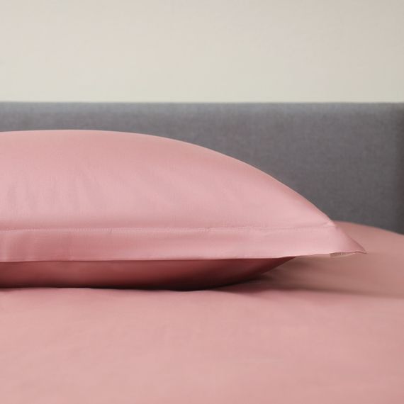 Иоланда (чайная роза) КПБ Евро