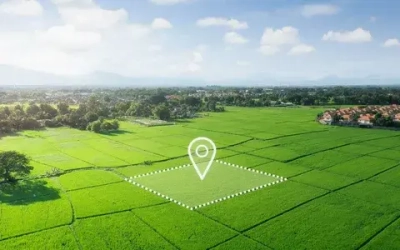 Участок в СНТ Брусничка