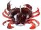 Крабы LJ 3D Series CRAB 3.0in С05, джиг-головка 1/2OZ (14,0 г.) 1шт, компл.