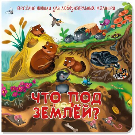 Книжка с двойными окошками ЧТО ПОД ЗЕМЛЕЙ?