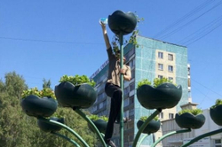 Цветочница Фиалка