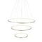 Подвесная светодиодная люстра ST Luce Erto SL904.203.03