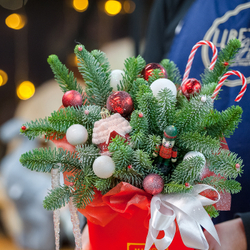 Новогодняя композиция в красном оформлении с нобилисом