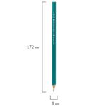 Карандаш чернографитный STAFF "EVERYDAY", 1 шт., НВ, без резинки, пластиковый, корпус зеленый, заточенный, 180962