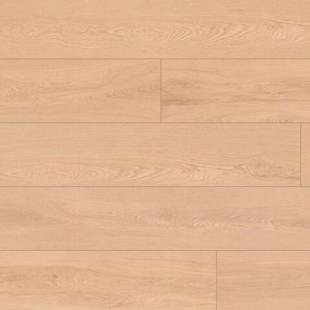 Grande XXL Schonbrunn, 3,019 м²