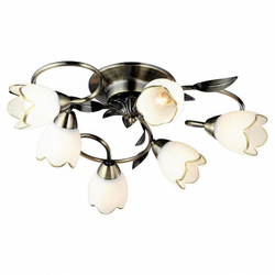 Накладная люстра Arte Lamp A6061PL-6AB