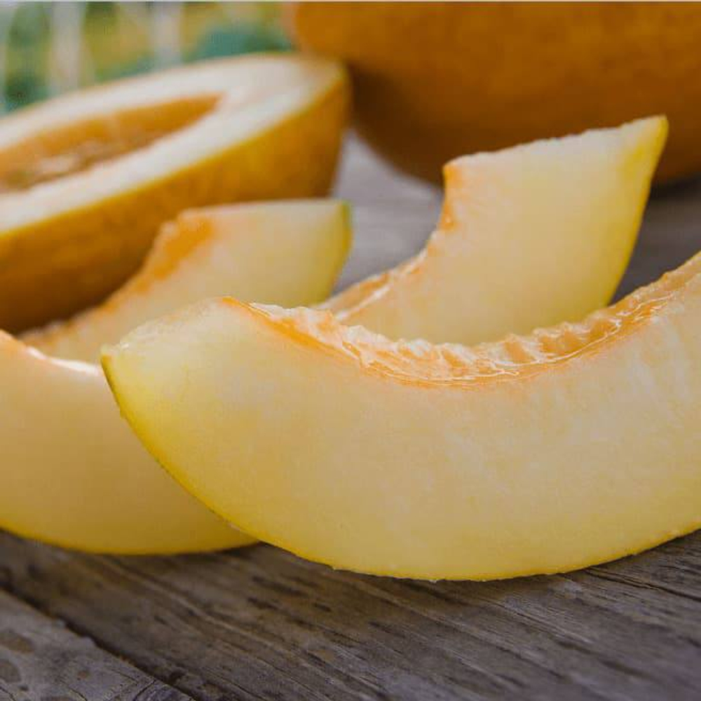 Золотой шар семена дыни (ПОИСК)