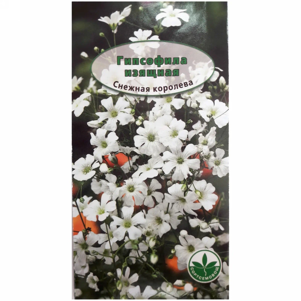 Семена Гипсофила Снежная королева 45см 0,3гр