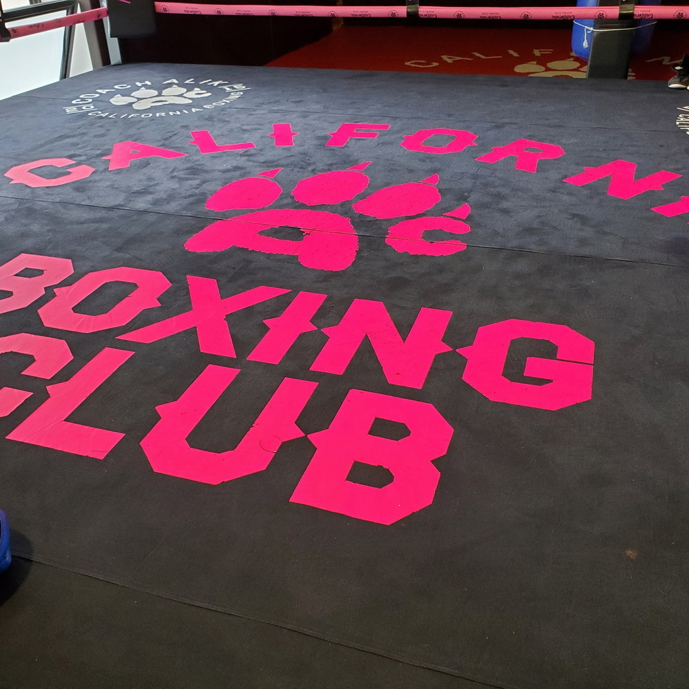 Тканевые покрытия для боксерских рингов и ММА арен