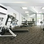 Осушитель воздуха TROTEC DS 60 для бассейнов - [до 90 л. за сутки / для S≈50 м²]