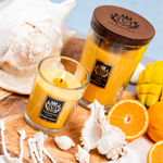 Свеча Vellutier Тропическое путешествие / Tropical Voyage