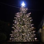 Светодинамическая елка ствольная со скамейкой, встроенная гирлянда: Холодный свет - "Лесная" (Литая хвоя) 6 м