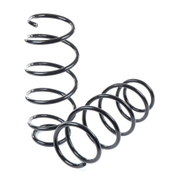 Пружины GANZ передние L=R OPEL Signum / Vectra C 02-08 (комплект 2 шт.) Арт.: GIK02284