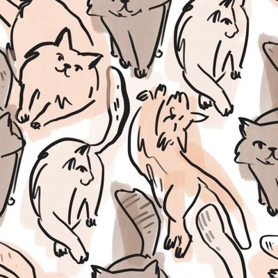 Коты, домашний кот. Графика. Домашний питомец