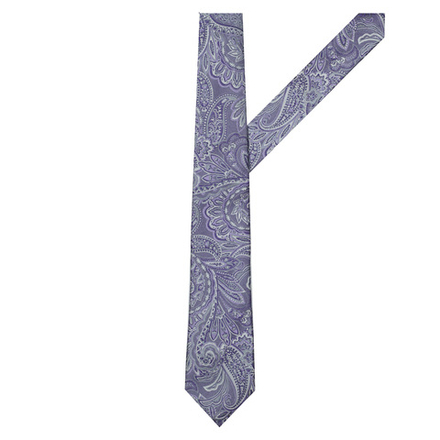 Галстук SEIDENSTICKER