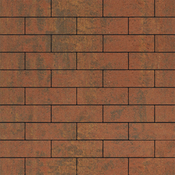 Тротуарная плитка ПРЯМОУГОЛЬНИК 300х100 мм - Листопад гладкий Арабская ночь