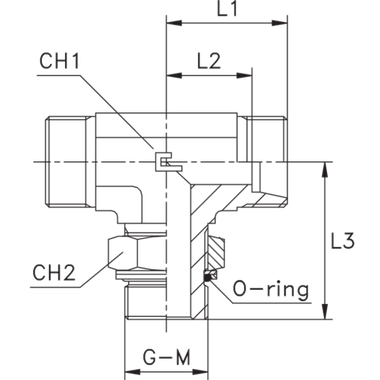 Штуцер FRTG DS20 BSP3/4" (корпус) CAST