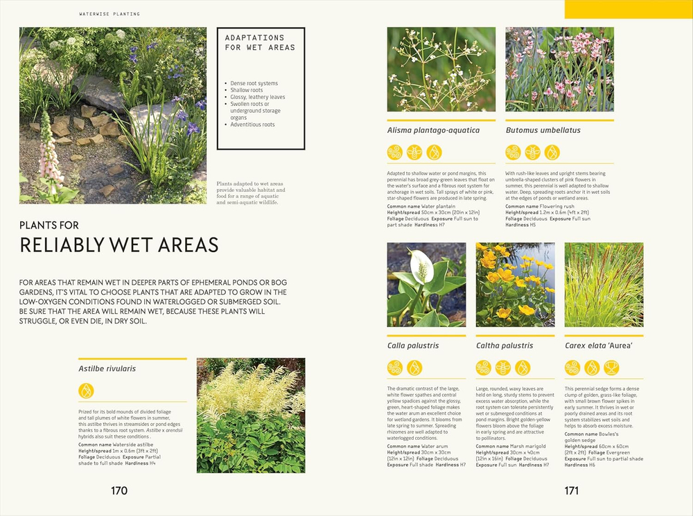 Waterwise Garden