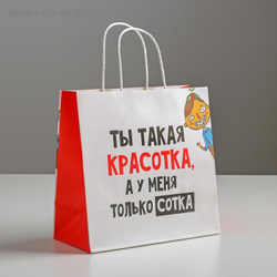 Пакет подарочный «Красотка», 22 х 22 х 11 см