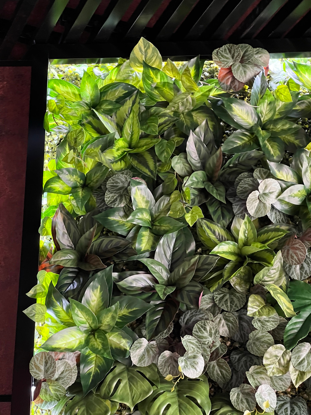 Вертикальное озеленение искусственными растениями автосалона «100 машин»