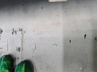 Бампер передний BMW 5er G30 (2017-2020) M-Paket