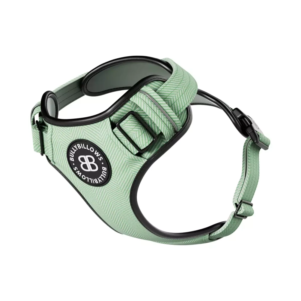 Premium dog harness shop