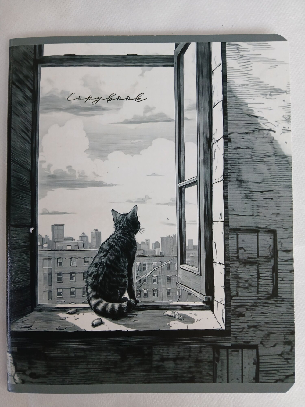 Тетради 48 листа А5+.  "Не просто коты...", общая, клетка. Формат А5+ (163*203 мм). Арт.120027. С полями. Комплект 5 шт.