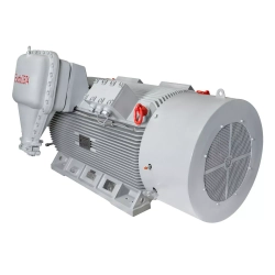 Электродвигатель ESQ M 400-SDN 6,0-315/1500-EP-C IP55 (SG) 315/1500 IM1001