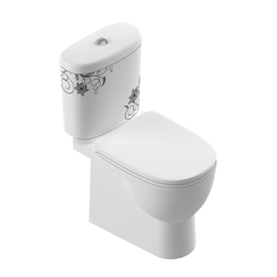 Купить Унитаз-компакт Sanita Luxe Art Flora  с сиденьем микролифт