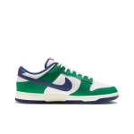 Nike Dunk Low Skate shoes