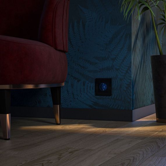 Розетка Werkel с/з с подсветкой черный W1171408 4690389171727