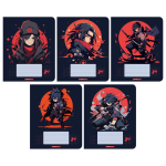 Тетрадь А5 24л клетка "Аниме воины" (Академия Групп) (комплект 2 шт)