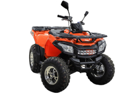Квадроцикл MOTOLAND ATV 200 MAX
